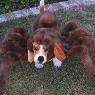 /img/17446-dog-costume-shopping.webp