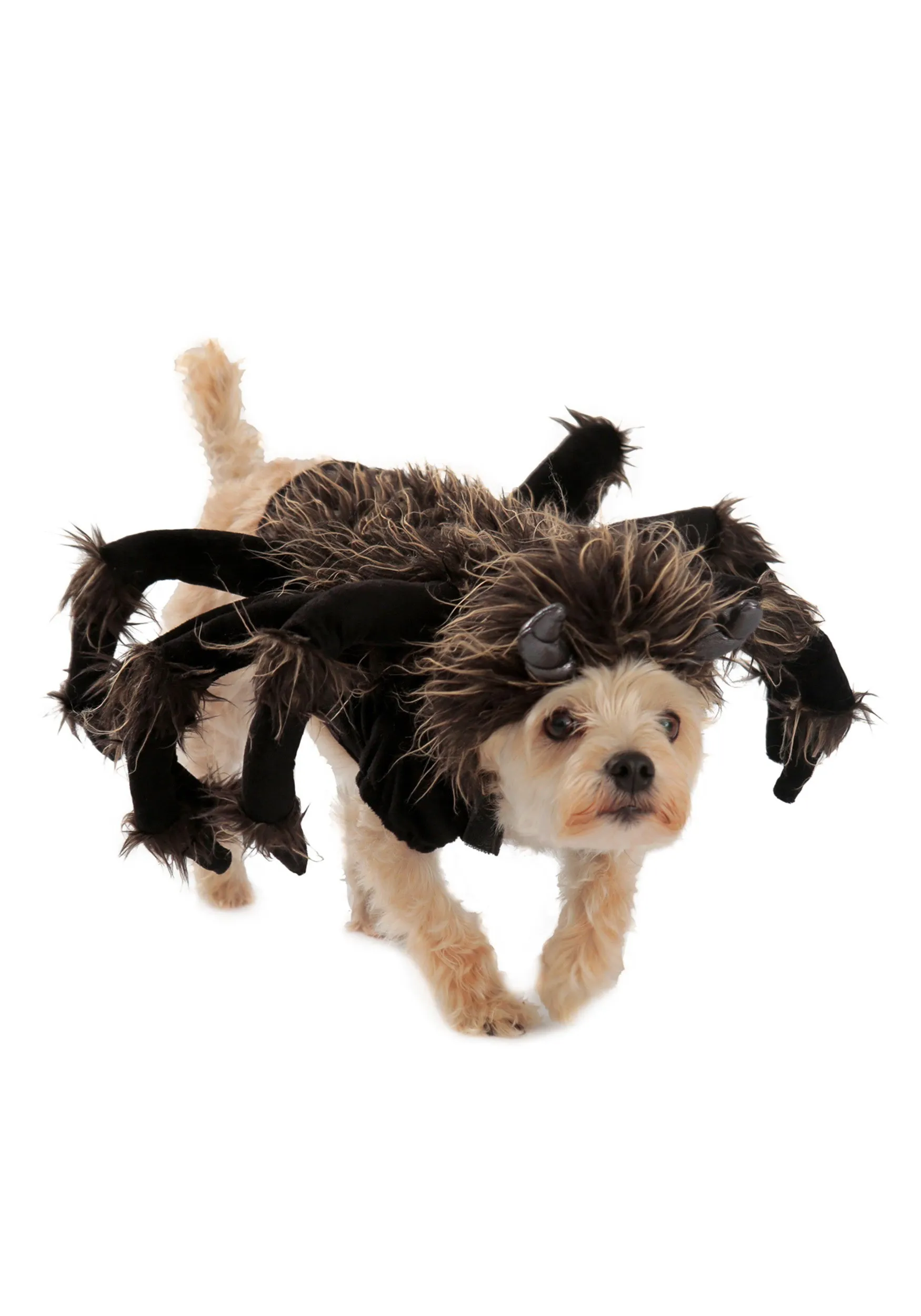 17446 dog costume size