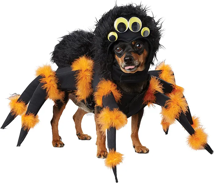 17446 dog costume straps