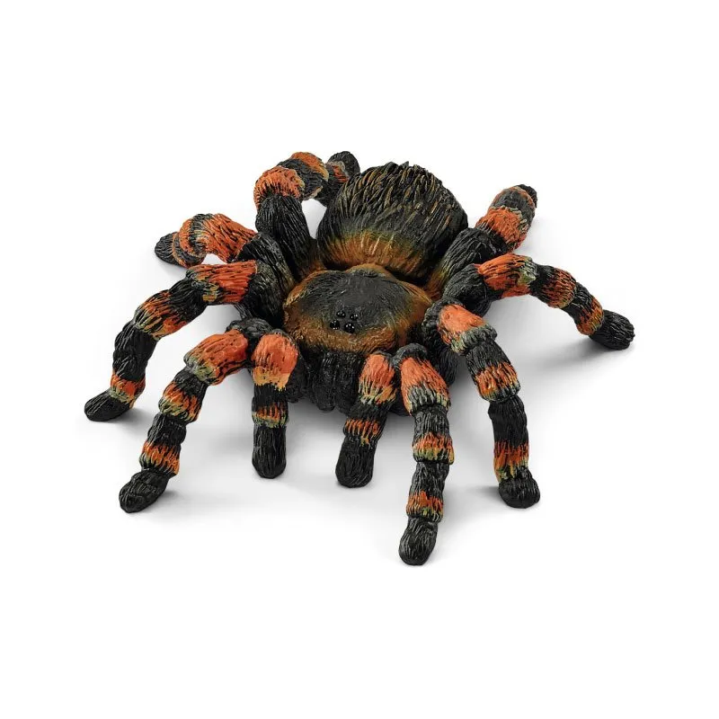 17448 tarantula pet store