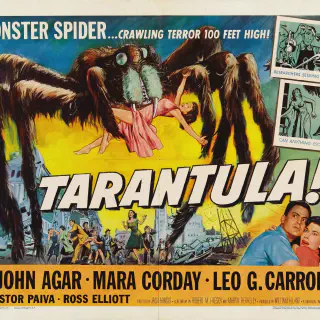 /img/17451-tarantula-movie-review.webp