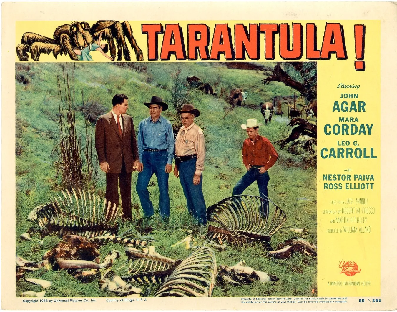 17451 tarantula movie scene