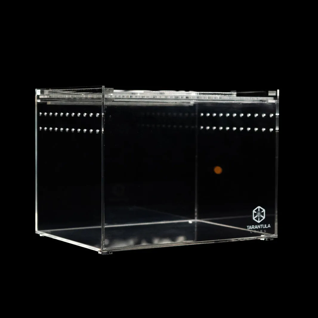 /img/17456-tarantula-crib-accessories.webp