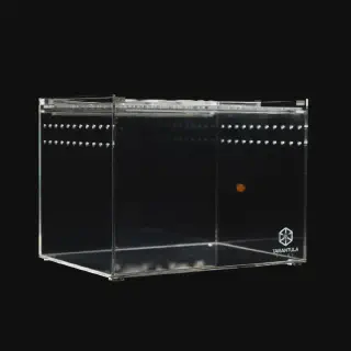/img/17456-tarantula-crib-accessories.webp