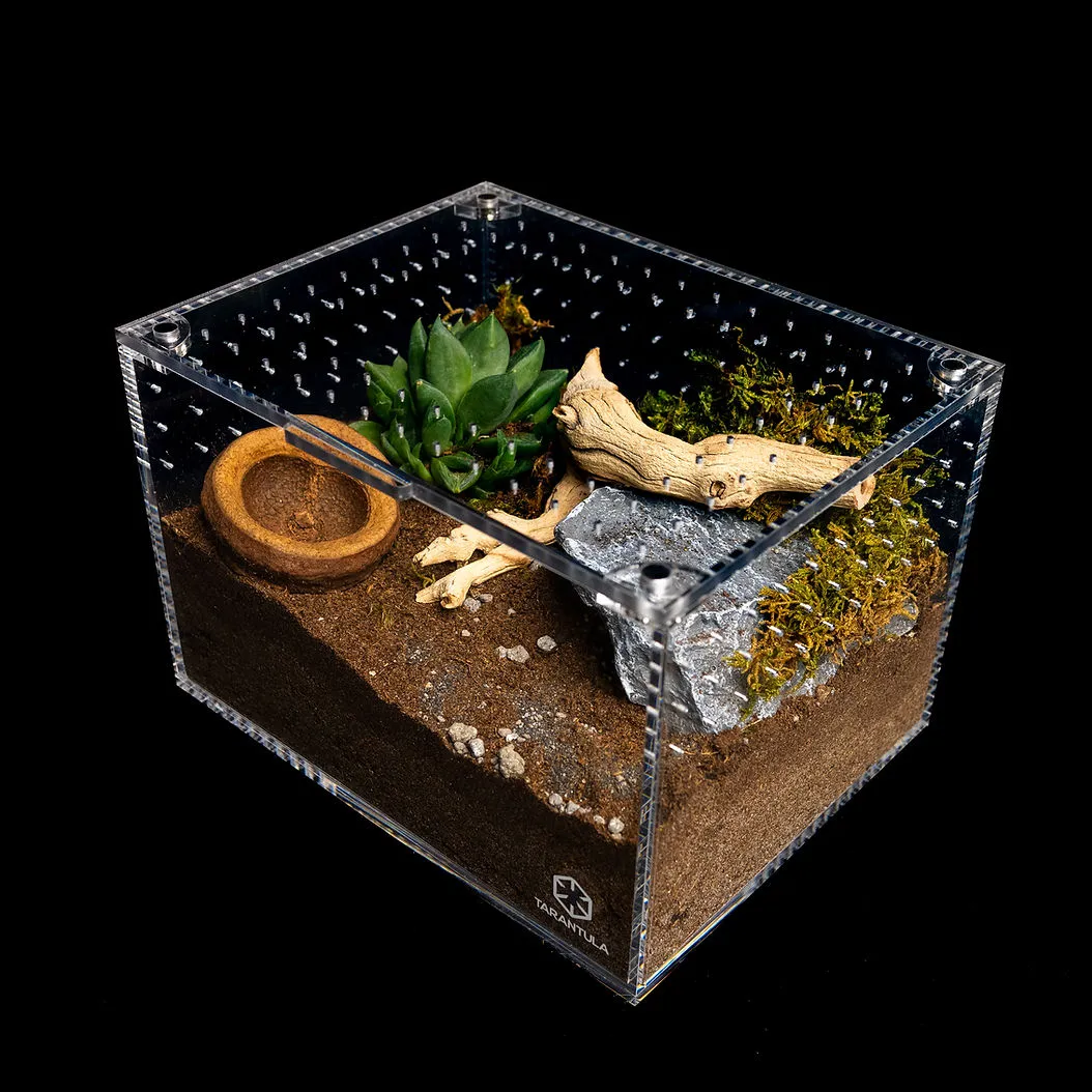 17456 tarantula crib cleaning