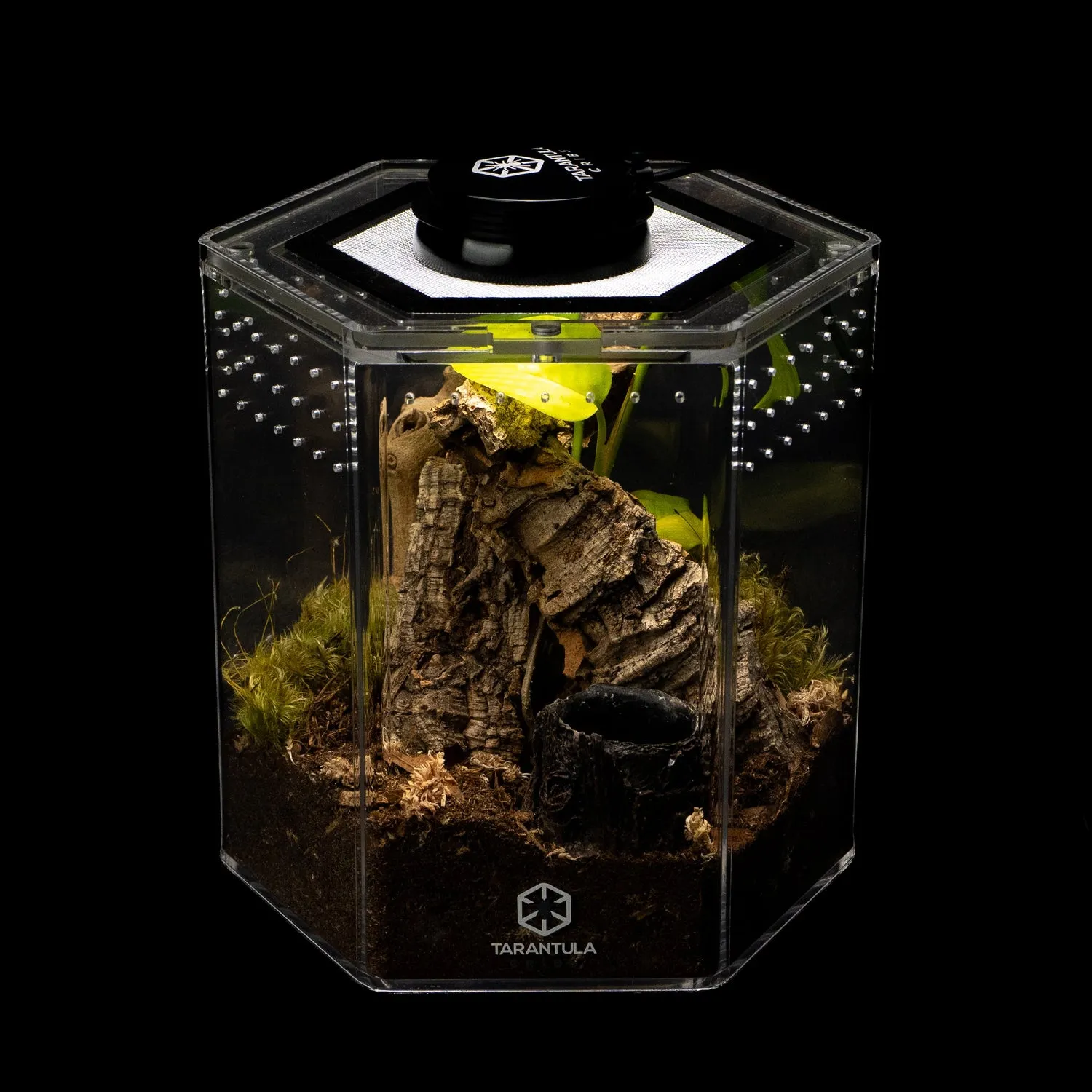 17456 tarantula crib retailers