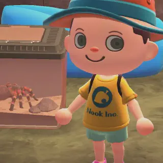 /img/17460-animal-crossing-tarantula-rain-7.webp