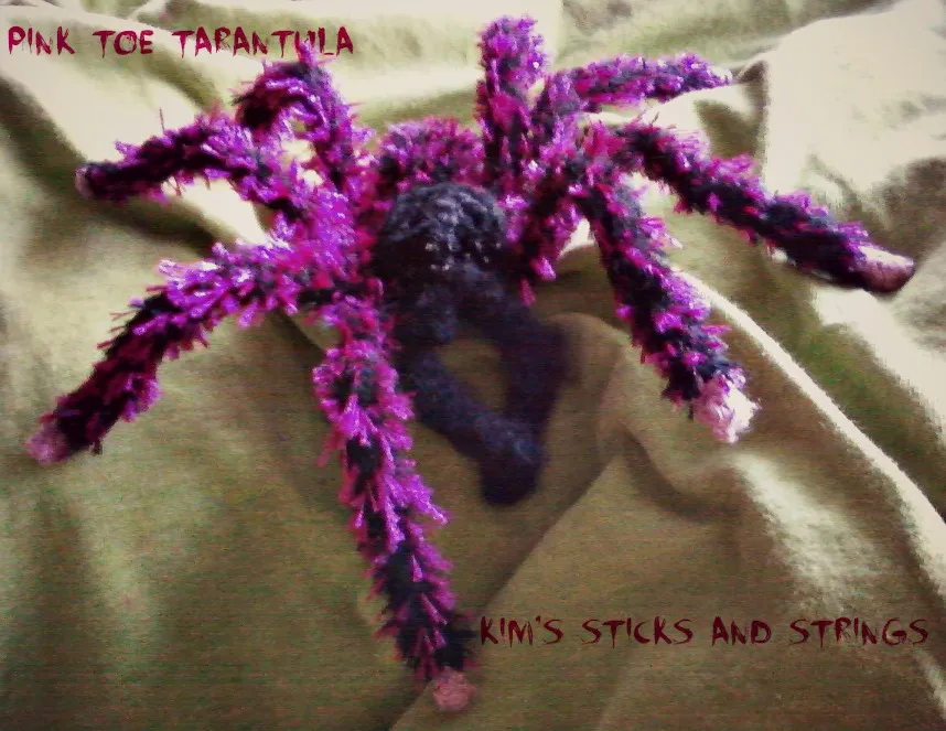 17463 pinktoe tarantula habitat