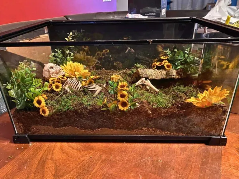 17466 tarantula enclosure substrate