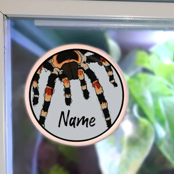 17468 tarantula enclosure cleaning