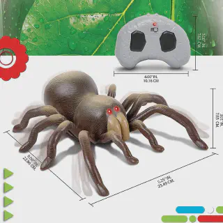 /img/17494-rc-tarantula-buying-guide.webp