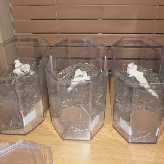 /img/17501-tarantula-substrate-mix-burrowing.webp