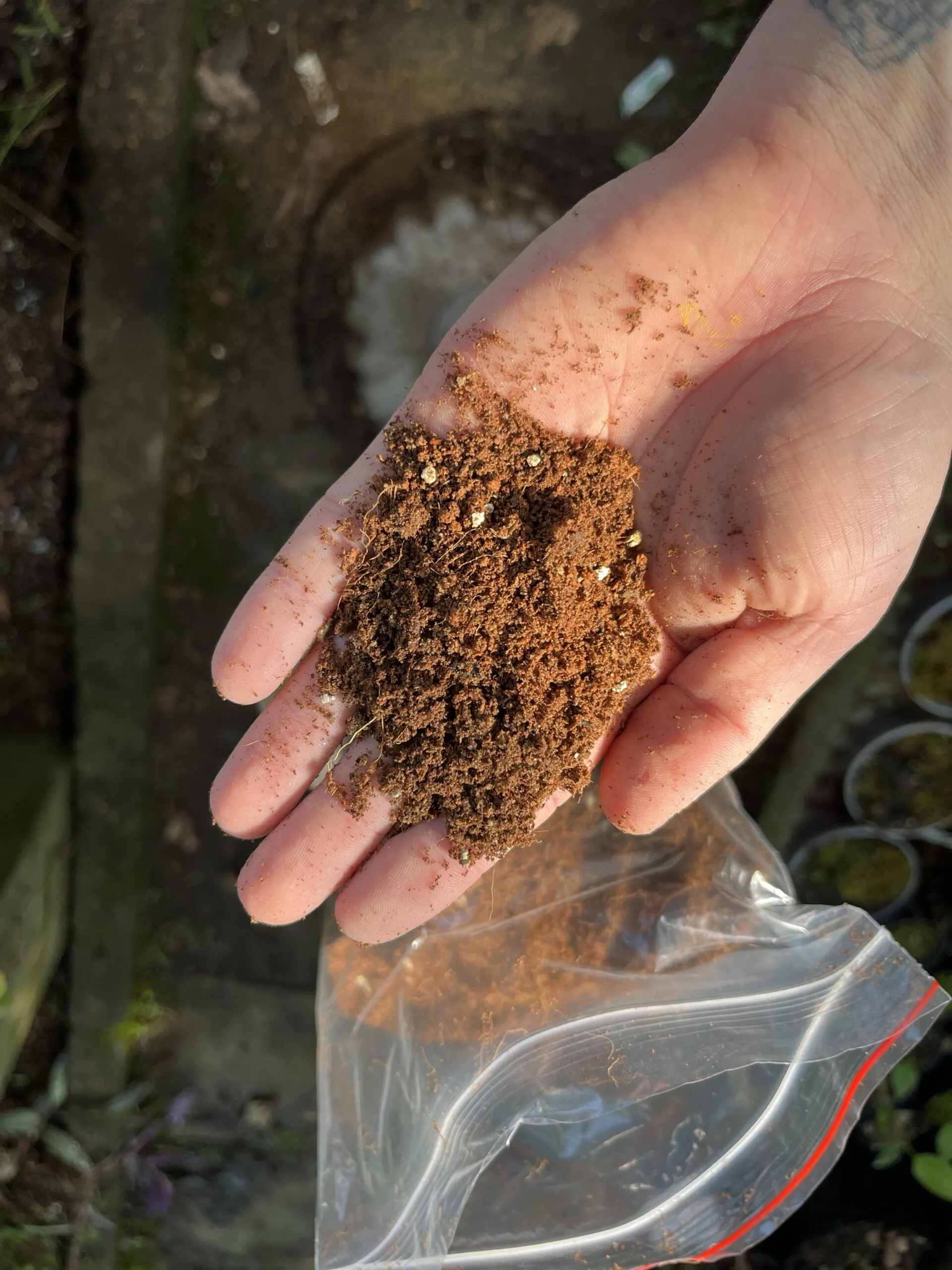 17501 tarantula substrate mix sphagnum moss